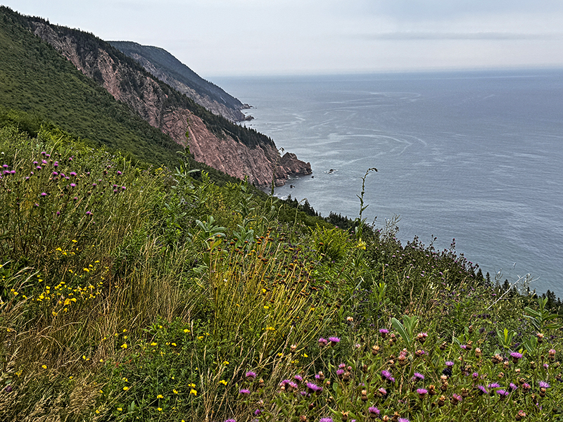 11 aug: Cape Breton National Park